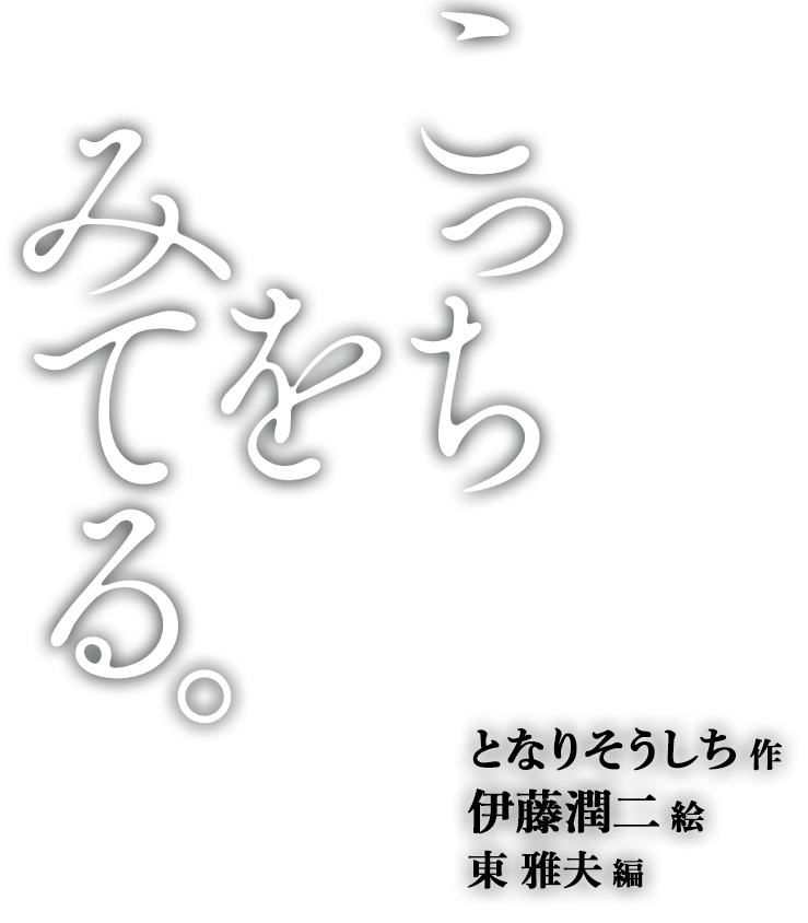 こっちをみてる。